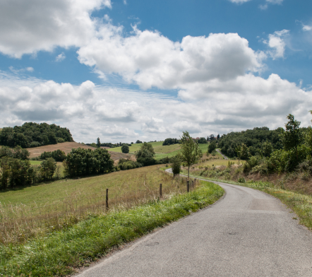 Rural Sociology